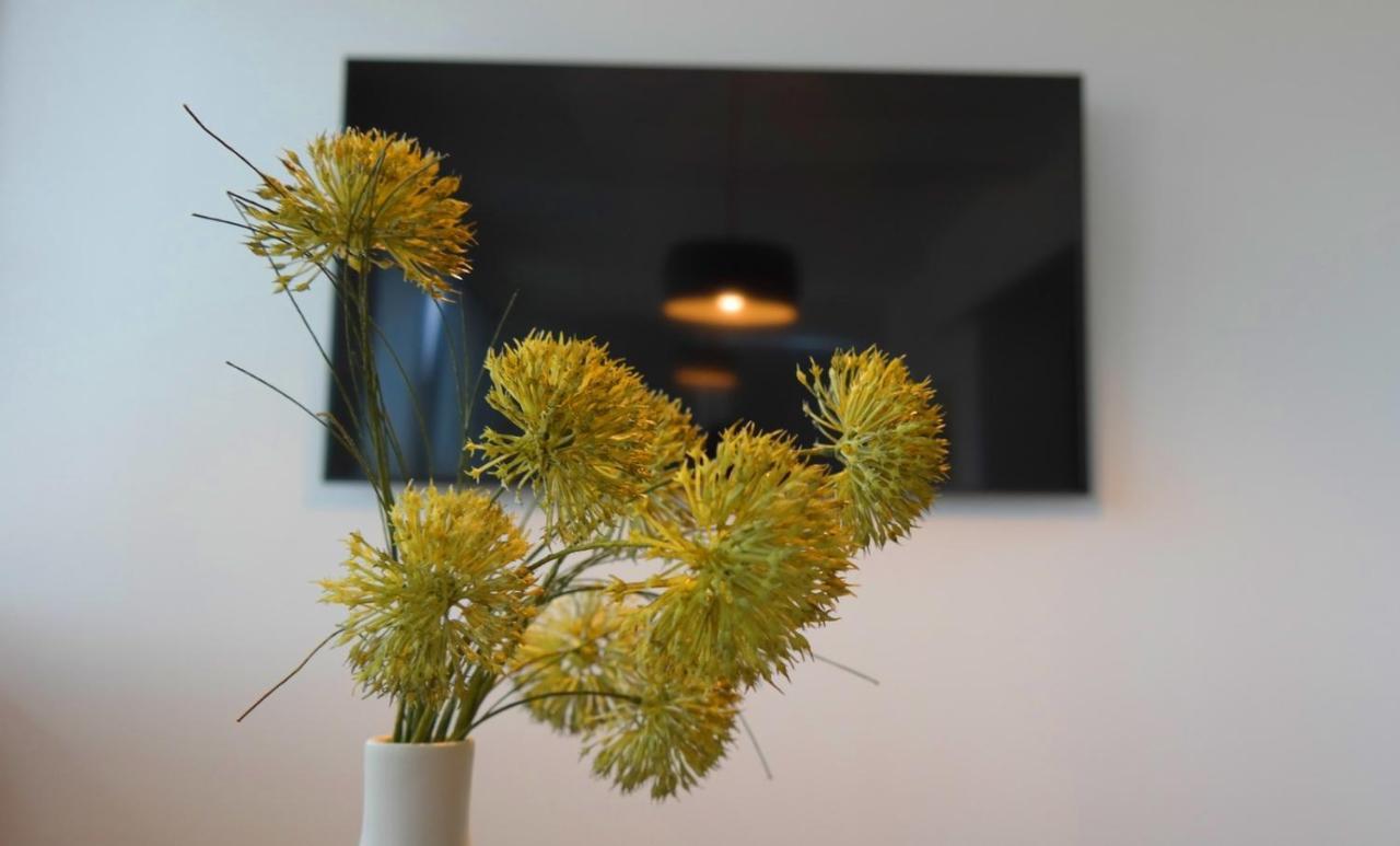 Apartment Flora Pula Exterior photo